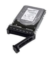 DELL Dell/2TB/HDD/3,5"/SATA/7200 vrtljajev na minuto/1R