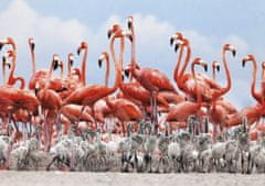 Dino Sestavljanka Flamingi 500 kosov