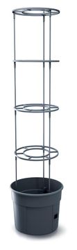 Prosperplast TOMATO GROWER sadilnik za paradižnik 29,5 cm antracit