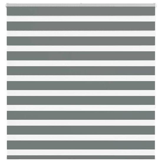shumee vidaXL Zebra senčilo temno sivo 145x150 cm tkanina širina 140,9 cm