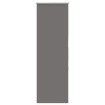 Vidaxl Rolo zatemnjena siv 60x175 cm tkanina širina 55,7 cm poliester