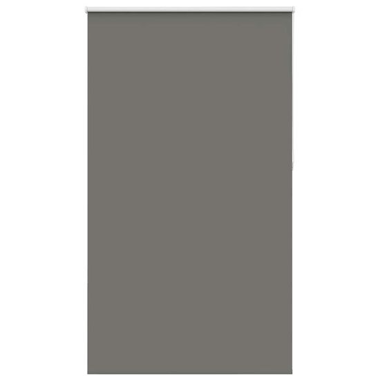 shumee vidaXL Rolo zatemnjena siv 120x210cm tkanina širina 116,6cm poliester