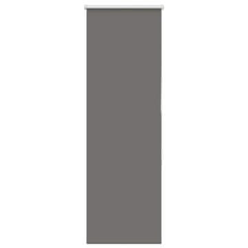 Vidaxl Rolo zatemnjena siv 40x130 cm tkanina širina 35,7 cm poliester