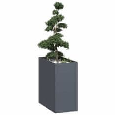 shumee vidaXL Sadilnik antracit 40x80x80 cm Jeklo