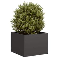 shumee vidaXL Plantažni lonček črn 40x40x30 cm Jeklo