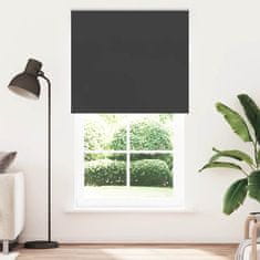 shumee vidaXL Rolo zatemnjena črna 120x210cm tkanina širina 116,6cm poliester