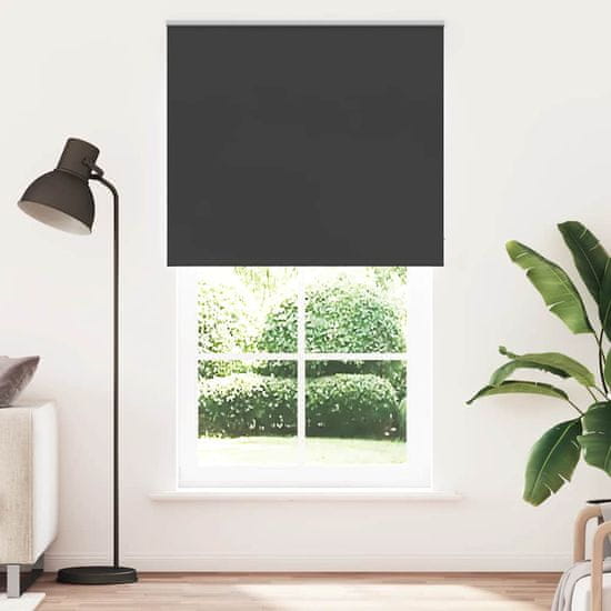 shumee vidaXL Rolo zatemnjena črna 120x210cm tkanina širina 116,6cm poliester