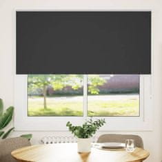 shumee vidaXL Roleta Blackout Black Black 165x150 cm Širina tkanine 161,6 cm