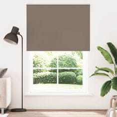 shumee vidaXL Roleta zatemnjena kava 165x230 cm Širina tkanine 161,6 cm