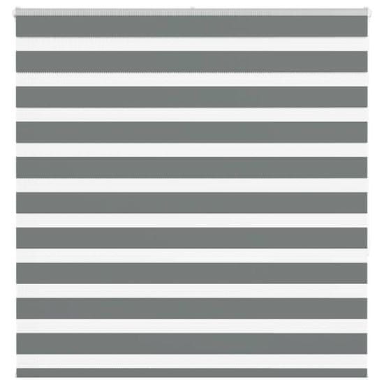 shumee vidaXL Zebra senčilo temno sivo 140x150 cm tkanina širina 135,9 cm