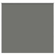 shumee vidaXL Roleta Blackout siv 165x175 cm Širina tkanine 161,6 cm