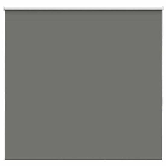 shumee vidaXL Roleta Blackout siv 165x175 cm Širina tkanine 161,6 cm