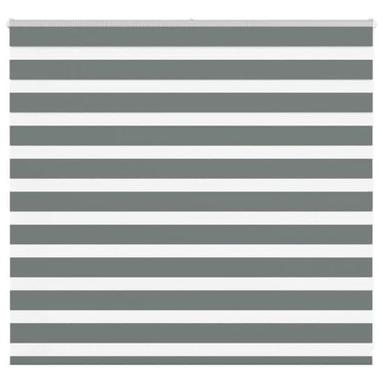 shumee vidaXL Zebra senčilo temno sivo 165x100 cm tkanina širina 160,9 cm