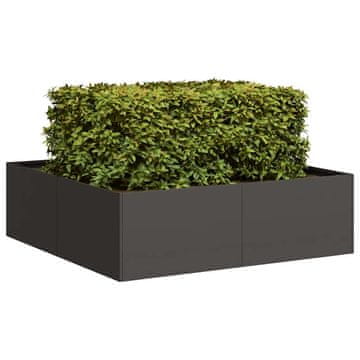 shumee vidaXL Plantažni lonček črn 100x100x30 cm Jeklo