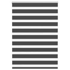 Vidaxl idaXL Zebra senčilo črna 100x100 cm tkanina širina 95,9 cm poliester