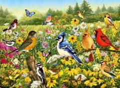 Ravensburger Ptičji travnik Puzzle 500 kosov