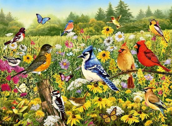 Ravensburger Ptičji travnik Puzzle 500 kosov
