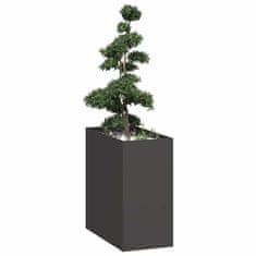 shumee vidaXL Plantažni lonček črn 40x80x80 cm Jeklo
