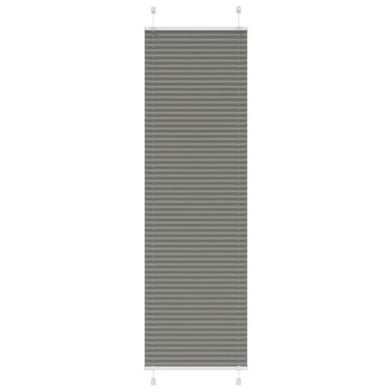 shumee vidaXL Plisirana žaluzija Antracit 60x200 cm Širina tkanine 59,4 cm