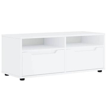 Vidaxl TV omarica VISNES bela 100x40x38 cm inženirski les