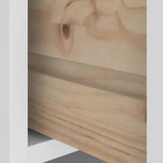 Vidaxl Drevo za dvorano SANDENS bela 87x40x159,5 cm masivni les bora