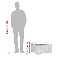 Vidaxl Vrtni stolčki z blazinami 2 kosa Grey 55x55x36 cm Poly Rattan