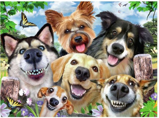 Ravensburger Pes selfie puzzle 500 kosov