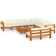 Vidaxl 10-delni vrtni sedežni komplet z blazinami 100x60 cm akacijev les