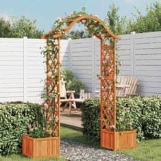 Vidaxl Vrtna pergola s cvetličnima koritoma iz trdnega lesa jelke