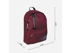 Artesania Cerda Eleganten modni nahrbtnik HARRY POTTER, 44 cm, 2100003912