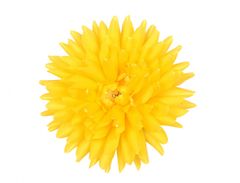 Cvetlični vosek JIRINA KAKTUS 15cm