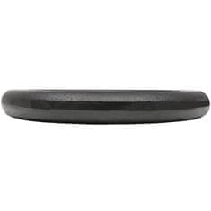Vidaxl Uteži 2 kosa 2x10 kg lito železo