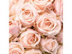 MAMI MILANO Rose in Fiore - Rose in Bloom, Luksuzni cvetlični difuzor, 500ml