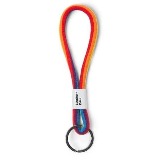 Pantone Obesek za ključe S - Pride
