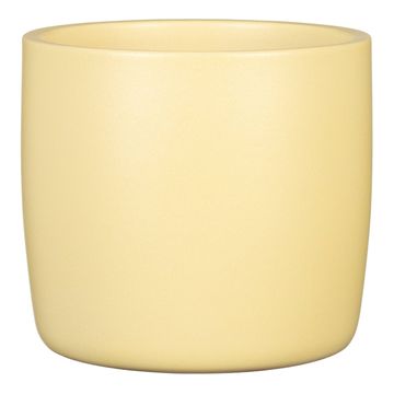 Prevleka 900 Gentle Yellow mat 13 /pomlad 2025/ - 5 kosov
