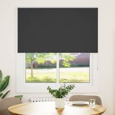 shumee vidaXL Rolo zatemnjena črna 125x130cm tkanina širina 121,6cm poliester