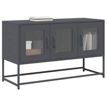Vidaxl vidaXL TV omarica antracit 100,5x39x60,5 cm hladno valjano jeklo