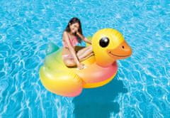Intex Napihljiva žival INTEX 57556 Raca RIDE ON