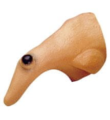 Widmann Nos čarovnice