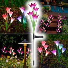 HOME & MARKER® LED Solarne luči za vrt | BLOSSUN Modra