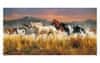 Band of Thunder-Konji- sestavljanka puzzle 13200 kosov