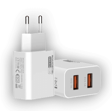 Infostyle Komplet hišni polnilec 2 v 1 s kablom USB C