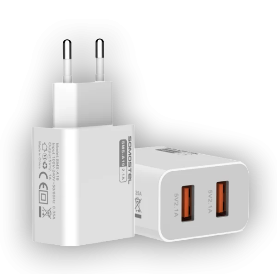 Infostyle Komplet hišni polnilec 2 v 1 s kablom USB C