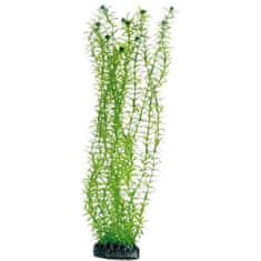 HOBBY aquaristic HOBBY Plantasy Set 5- Set umetnih rastlin
