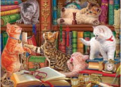 EuroGraphics Cat Library Puzzle 1000 kosov