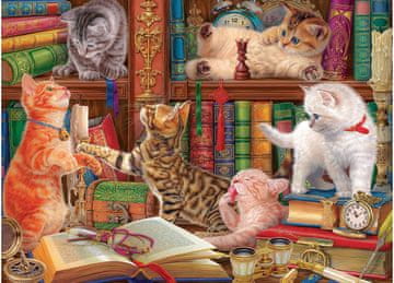 EuroGraphics Cat Library Puzzle 1000 kosov