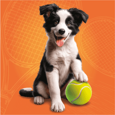 Dino DOG SPORTS 3x55 Puzzle