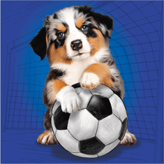 Dino DOG SPORTS 3x55 Puzzle