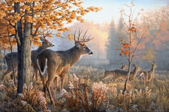 Norimpex Diamantna slika Jelen v jutranji megli 30x40cm