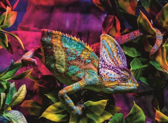 Ravensburger Kameleon Puzzle 500 kosov
